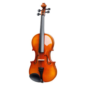 STAGG 4/4 Solid Maple Violin + Softcase