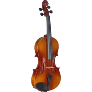 STAGG 4/4 Tonewood Violin+Softcase